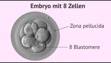 ftatok34eyde.jpg